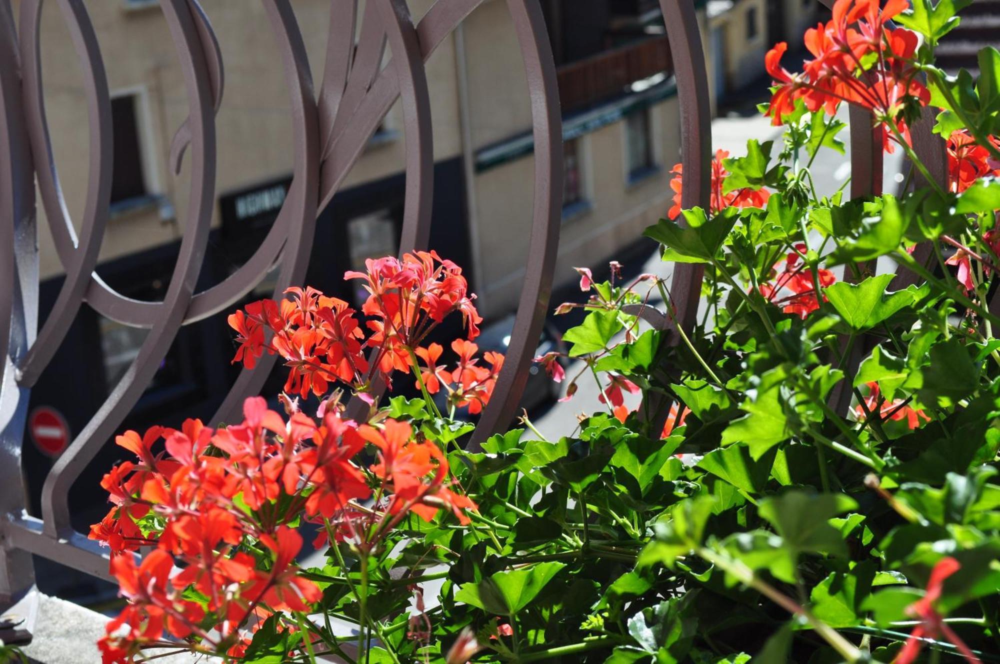 Hotel Et Appart'Hotel De L'Hermitage Thônes Εξωτερικό φωτογραφία